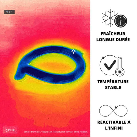 Tour de cou réfrigérant 